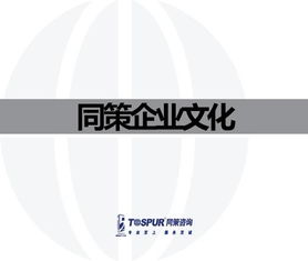 致客戶的承諾——做值得托付的房地產智囊\n副標題 某房地產咨詢服務公司企業文化重塑行動綱要文件（內部審核版）\n\n**第2-3頁 我們的行業信念**\n? 房地產不僅是鋼筋水泥，更是城市靈魂的載體?！拔覀冏鹬孛恳粔K土地的基因?！盶n? 唯一不變的是變化與專業。核心命題 從增長邏輯轉向價值邏輯的生存之道。\n\n**第4-5頁 使命定義**\n我們存在的根本原因 “賦能不動產全周期，讓投資回歸價值本質?！保ㄗ?在供給側改革與去金融化大背景下，幫助客戶甄別泡沫，專注抗周期真理。）\n\n**第6-8頁 戰略